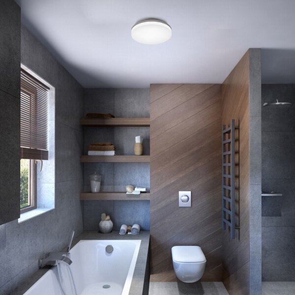 Rabalux - Plafonieră LED pentru baie LED/24W/230V IP54 3000K/4000K/6000K