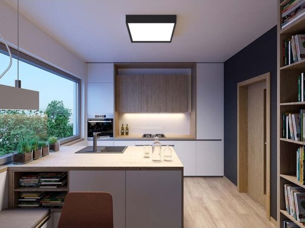 Plafonieră LED LED2 MILO LED/30W/230V neagră 3000/4000K