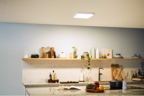Plafonieră LED MAGNEOS LED/20W/230V 2700K albă Philips