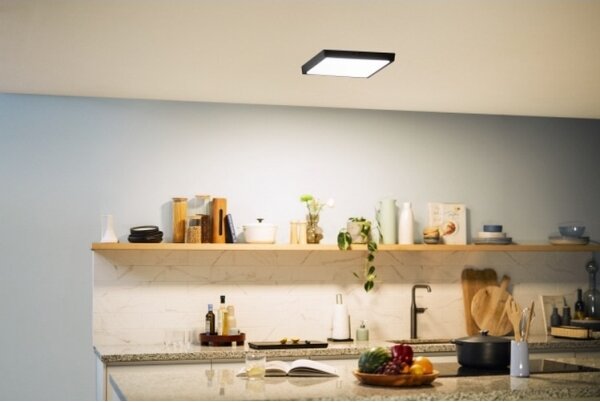 Plafonieră LED MAGNEOS LED/20W/230V 2700K neagră Philips