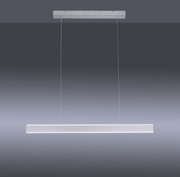 Lustră LED dimabilă pe cablu ARINA LED/20W/230V Paul Neuhaus 8363-55