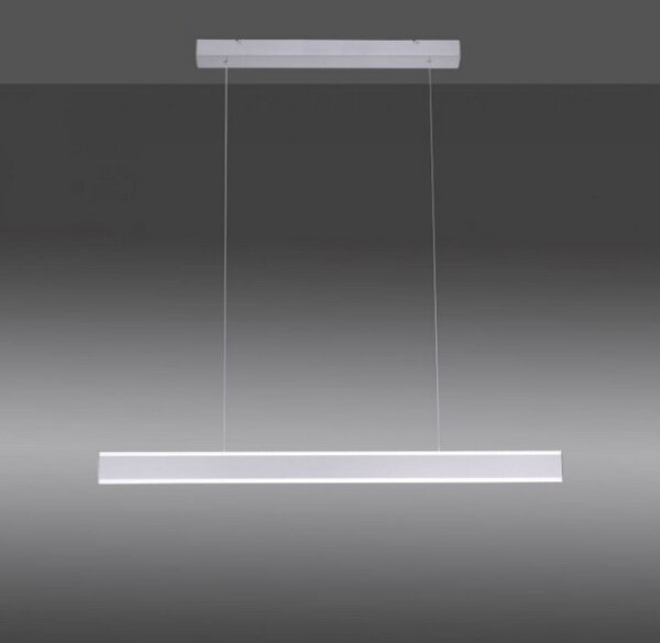 Lustră LED dimabilă pe cablu ARINA LED/20W/230V Paul Neuhaus 8363-55