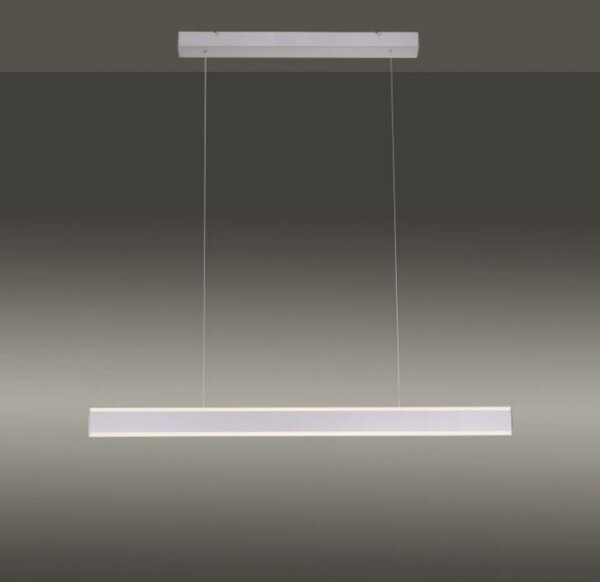 Lustră LED dimabilă pe cablu ARINA LED/20W/230V Paul Neuhaus 8363-55