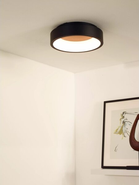 Plafonieră LED dimabilă TALOWE LED/20W/230V neagră Lucide 46100/20/30