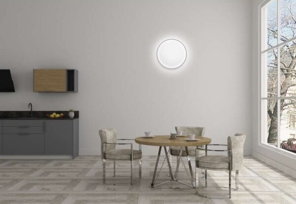 Plafonieră LED dimabilă LED/24W/230V 2700K-6500K rotundă + telecomandă