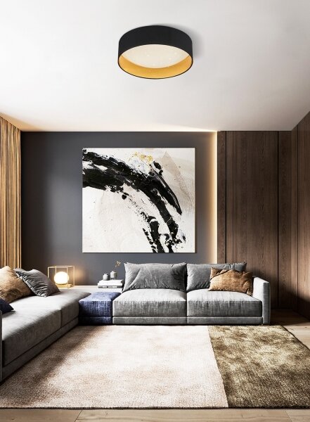 Plafonieră LED dimabilă LED/24W/230V neagră Top Light + telecomandă