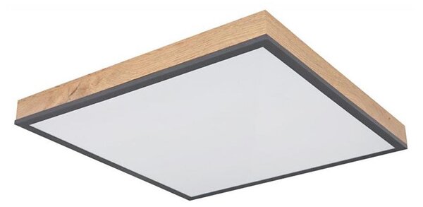 Plafonieră LED DORO LED/24W/230V Globo 416080WD2