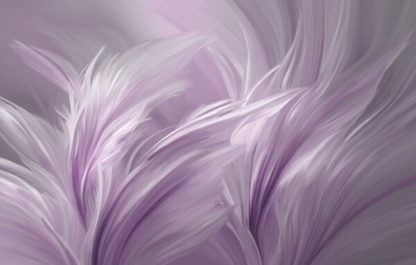 Tapet Pene elegante în nuanțe de violet, Fototapet Abstract, w05658v2 : Uwalls.ro