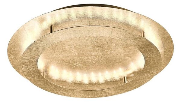 Plafonieră LED NEVIS LED/24W/230V Paul Neuhaus 9621-12