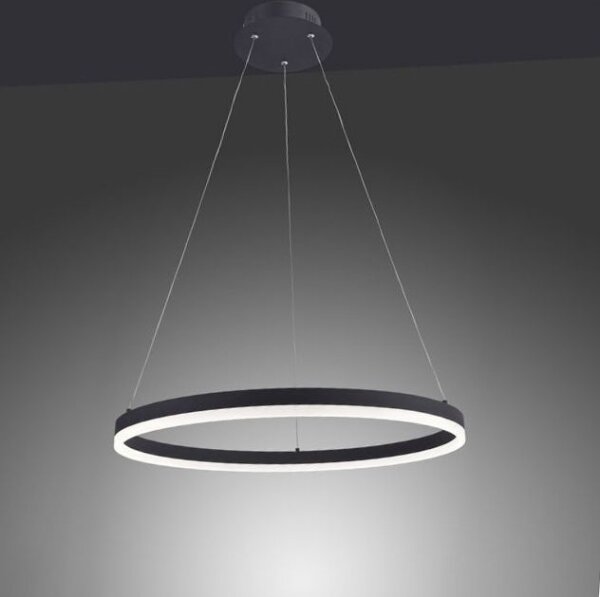Lustră LED pe cablu dimabilă TITUS LED/38,5W/230V Paul Neuhaus 2382-13