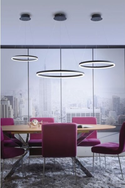 Lustră LED pe cablu dimabilă TITUS LED/38,5W/230V Paul Neuhaus 2382-13