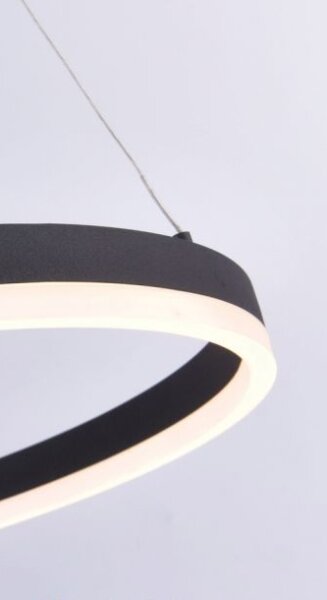 Lustră LED pe cablu dimabilă TITUS LED/38,5W/230V Paul Neuhaus 2382-13