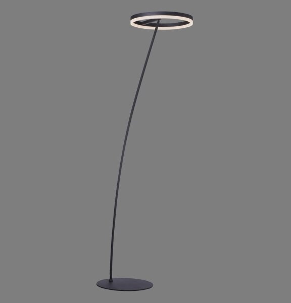 Lampadar LED dimabil TITUS LED/19,5W/230V Paul Neuhaus 381-13