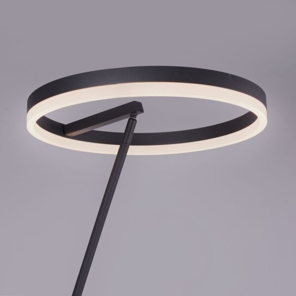 Lampadar LED dimabil TITUS LED/19,5W/230V Paul Neuhaus 381-13