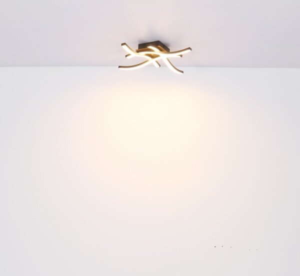 Globo 67171-20 - Lustră LED aplicată EVITA 4xLED/5W/230V
