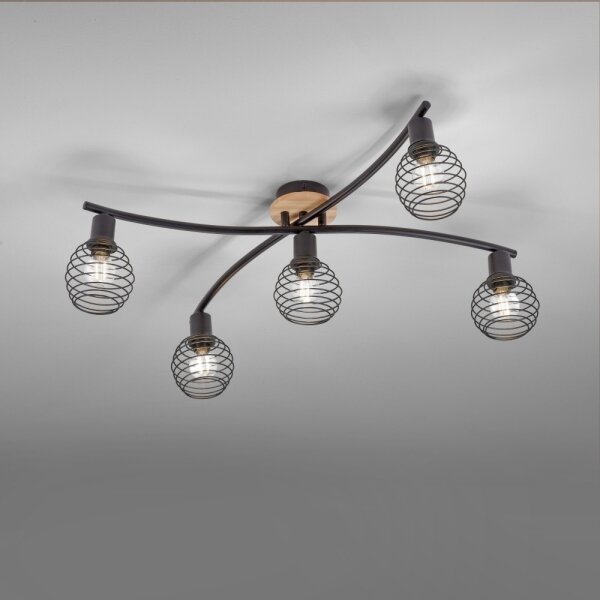 Lustră aplicată EUGEN 5xE14/40W/230V Leuchten Direkt 15925-79