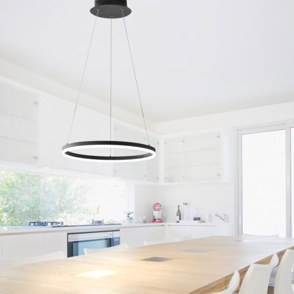 Lustră LED pe cablu dimabilă TITUS LED/28W/230V Paul Neuhaus 2381-13