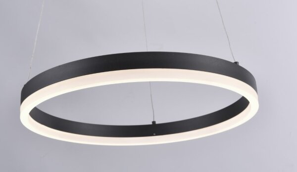 Lustră LED pe cablu dimabilă TITUS LED/28W/230V Paul Neuhaus 2381-13