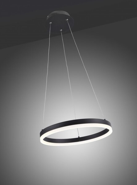 Lustră LED pe cablu dimabilă TITUS LED/28W/230V Paul Neuhaus 2381-13
