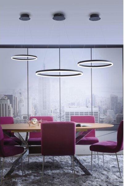 Lustră LED pe cablu dimabilă TITUS LED/28W/230V Paul Neuhaus 2381-13