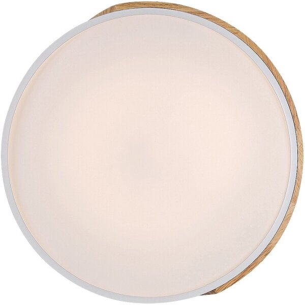 Plafonieră LED MAPLE 24W/230V albă Rabalux 3527