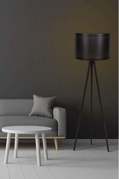 Lampadar AYD 1xE27/60W/230V negru