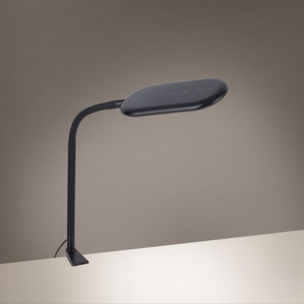 Lampă LED de masă dimabilă cu clemă KELLY LED/7W/230V Leuchten Direkt 14404-18