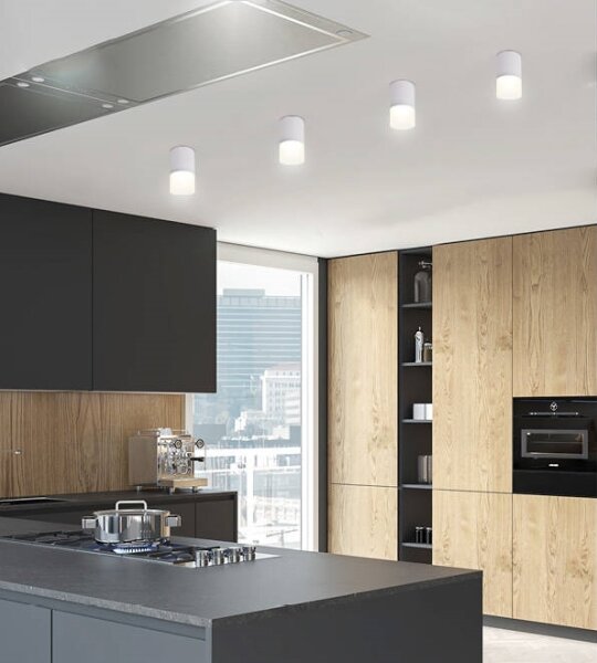 Spot TUBA 1xGU10/15W/230V gri/alb