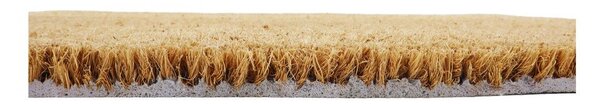 Covoraș de intrare din fibre de nucă de cocos 40x60 cm Fern Leaf – Artsy Doormats
