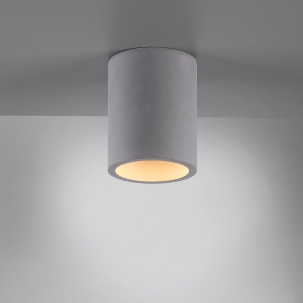 Spot ETON 1xGU10/10W/230V Paul Neuhaus 6160-22