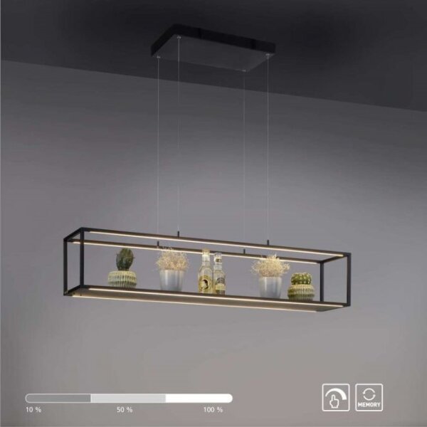 Lustră LED dimabilă pe cablu CONTURA 4xLED/8W/230V Paul Neuhaus 2441-18
