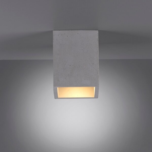 Spot ETON 1xGU10/10W/230V Paul Neuhaus 6161-22