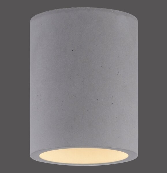 Spot ETON 1xGU10/10W/230V Paul Neuhaus 6160-22