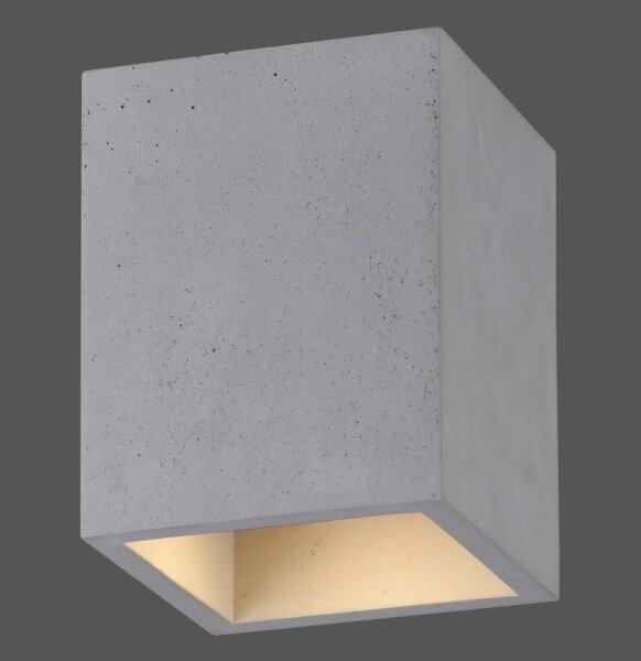 Spot ETON 1xGU10/10W/230V Paul Neuhaus 6161-22