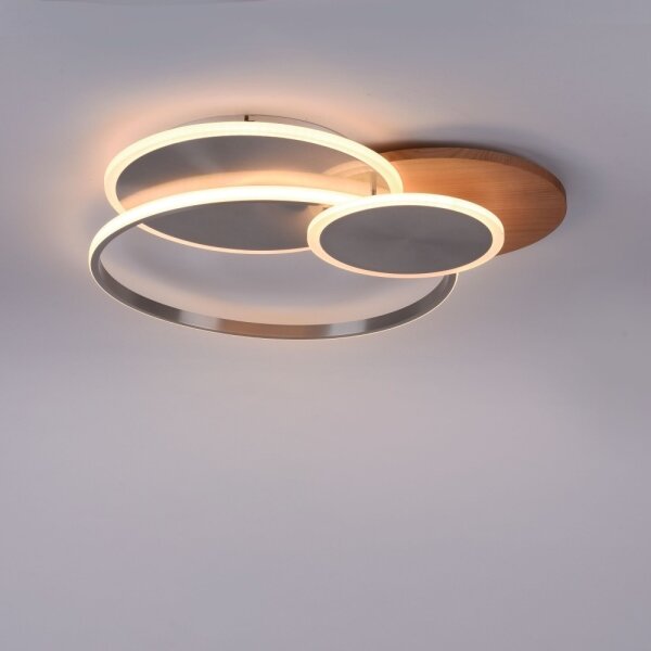 Plafonieră LED dimabilă PALMA LED/50W/230V Paul Neuhaus 8328-79 + telecomandă