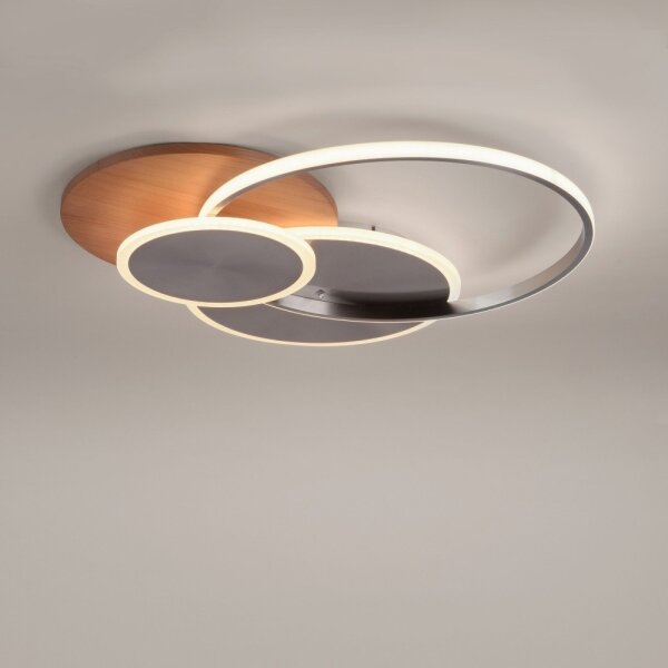 Plafonieră LED dimabilă PALMA LED/50W/230V Paul Neuhaus 8328-79 + telecomandă