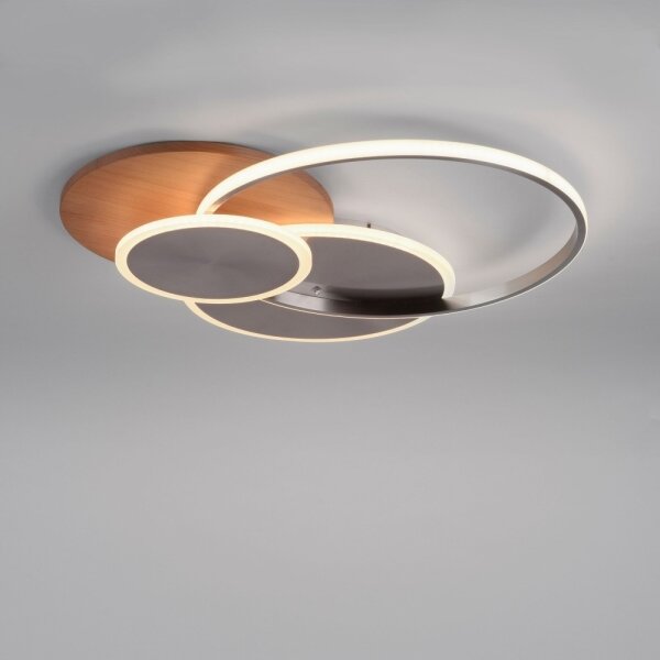 Plafonieră LED dimabilă PALMA LED/50W/230V Paul Neuhaus 8328-79 + telecomandă