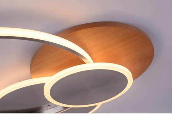 Plafonieră LED dimabilă PALMA LED/50W/230V Paul Neuhaus 8328-79 + telecomandă