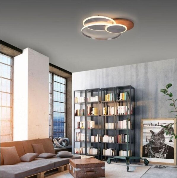Plafonieră LED dimabilă PALMA LED/50W/230V Paul Neuhaus 8328-79 + telecomandă