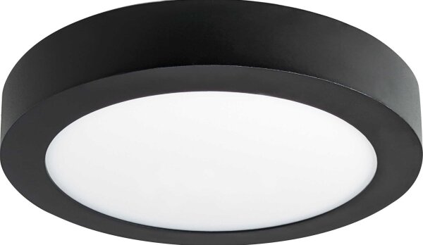 Plafonieră LED FENIX LED/12W/230V 3800K d. 17 cm