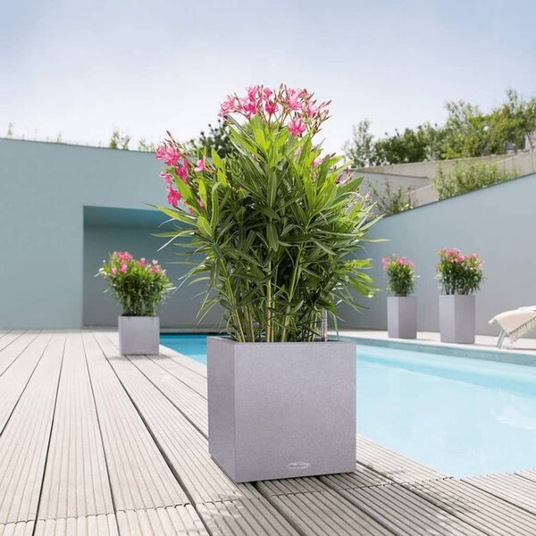 LECHUZA 442072 Planter "CANTO Stone 30 Low ALL-IN-ONE" Stone Grey 13700
