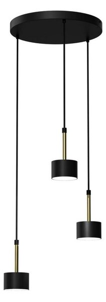 Lustră pe cablu ARENA 3xGX53/11W/230V neagră/aurie