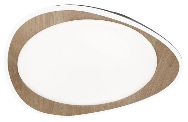 Rabalux 2427 - Plafonieră LED TAMINO LED/24W/230V