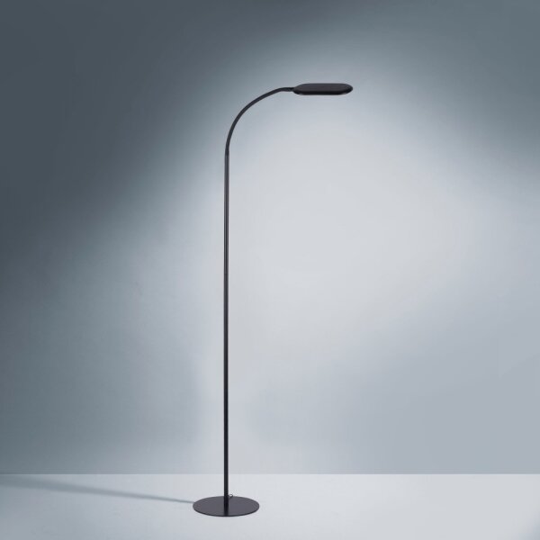 Lampadar LED dimabil KELLY LED/7W/230V Leuchten Direkt 14406-18