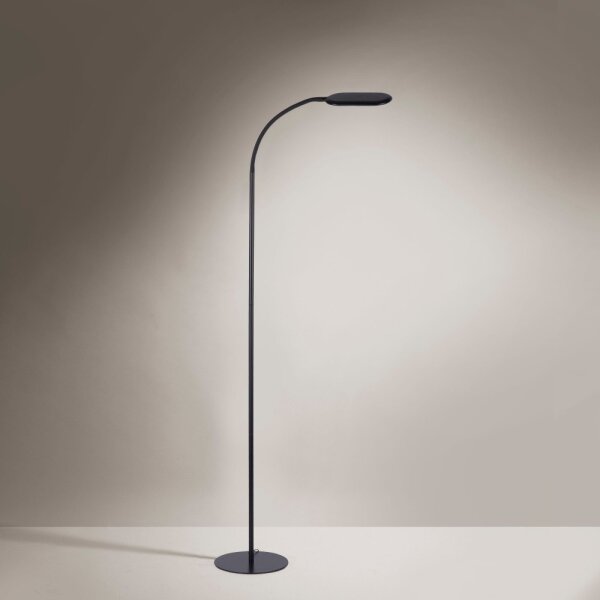 Lampadar LED dimabil KELLY LED/7W/230V Leuchten Direkt 14406-18