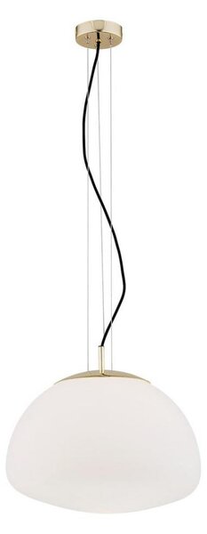 Lustră pe cablu Argon 4317 TRINI 1xE27/15W/230V d. 40 cm auriu