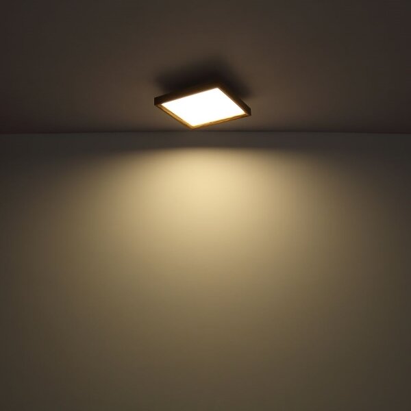 Plafonieră LED CINDERELA LED/24W/230V 45cm 2700/4500/6500K Globo 41595D2
