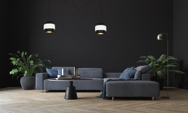 Lustră pe cablu NESS 2xE27/60W/230V neagră/albă