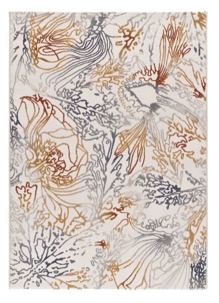Covor 80x150 cm Amara – Universal