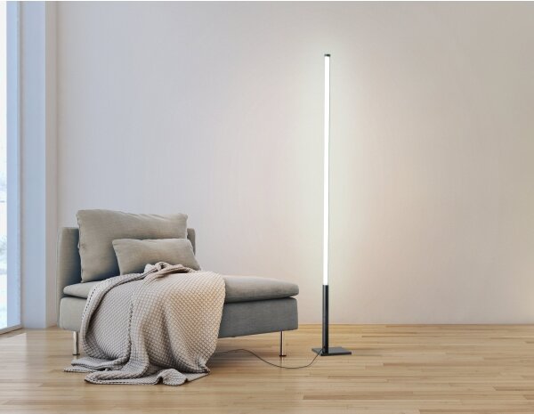 Lampadar LED dimabil Eglo 75653 PICACHA LED/14W/230V 2700-6500K + telecomandă